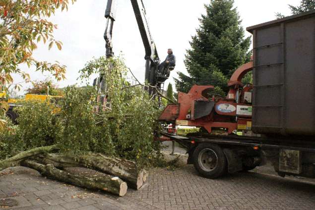 Koudekerke bomen rooien